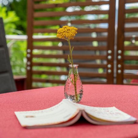 Apartments Im Garten - Haus Daniela グラーツ エクステリア 写真